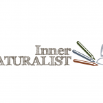 Secondary Alternate Logo