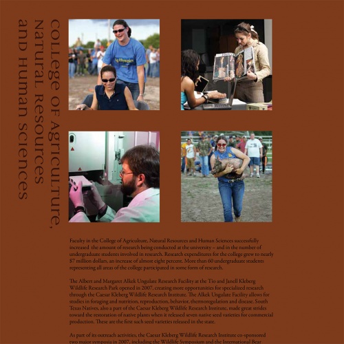 Milestones: 2008 President's Report